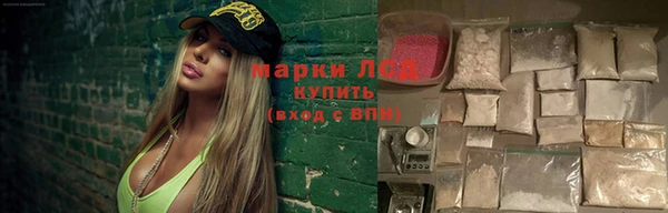 стаф Киренск